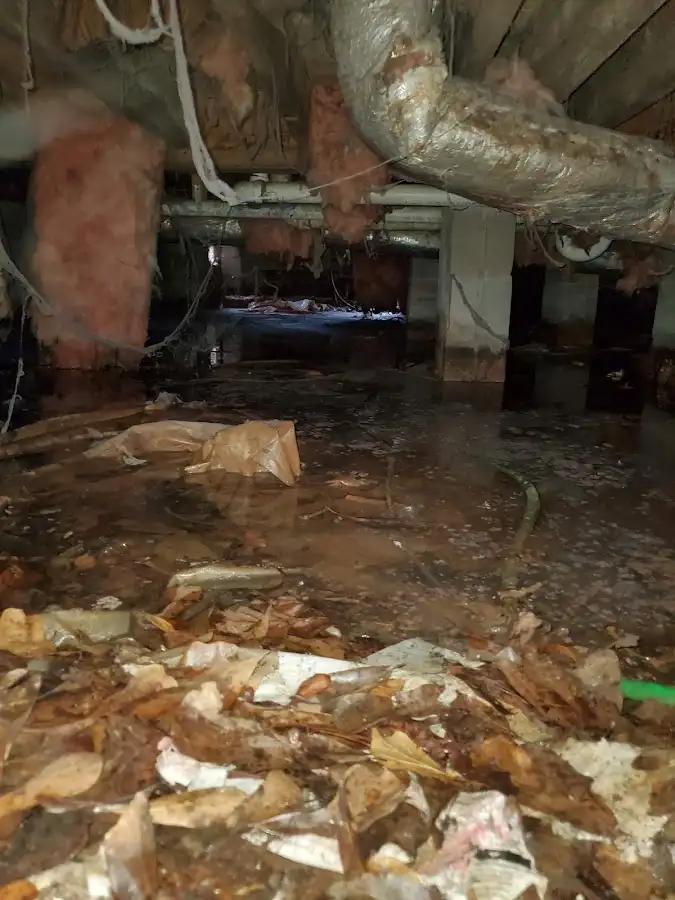Crawl space flood assessment for Leak Detection & Repair in Palos Hills