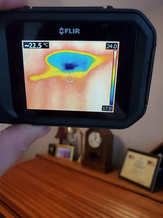Thermal imaging inspection for water damage in Palos Hills